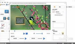 水印视频爆料怎么弄出来,如何轻松提取关键信息
